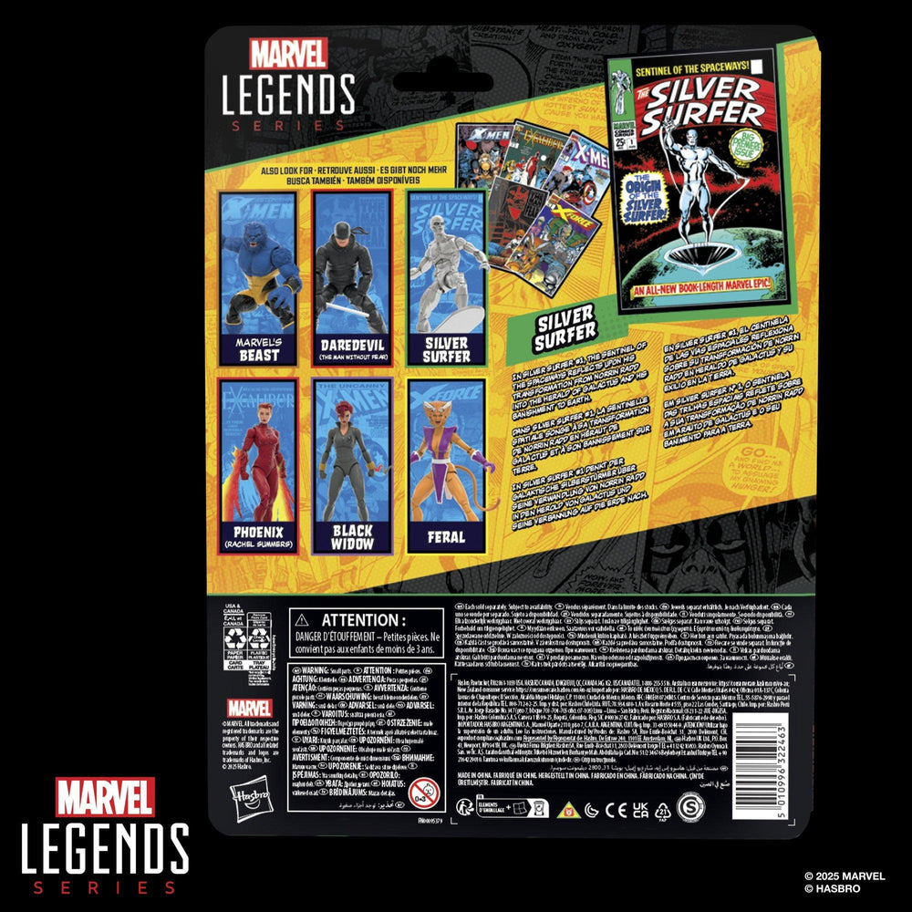 Marvel Legends Series Silver Surfer